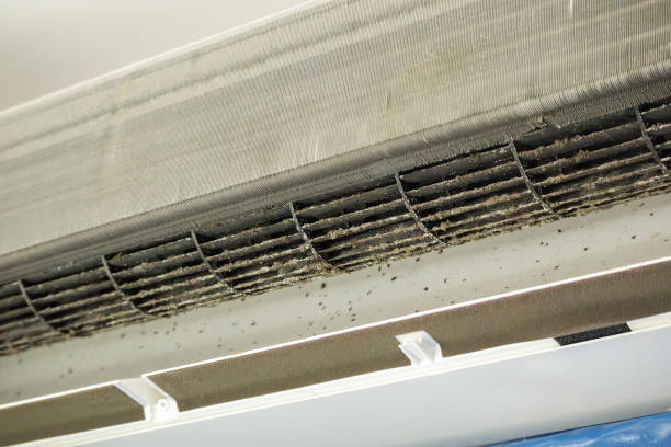 Best Commercial Air Duct Cleaning  in Concord, MO
